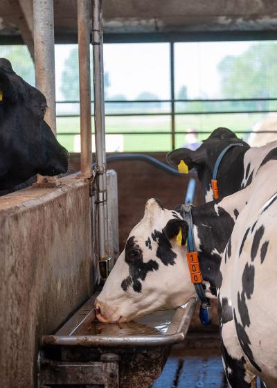 RVS producten in de landbouwsector