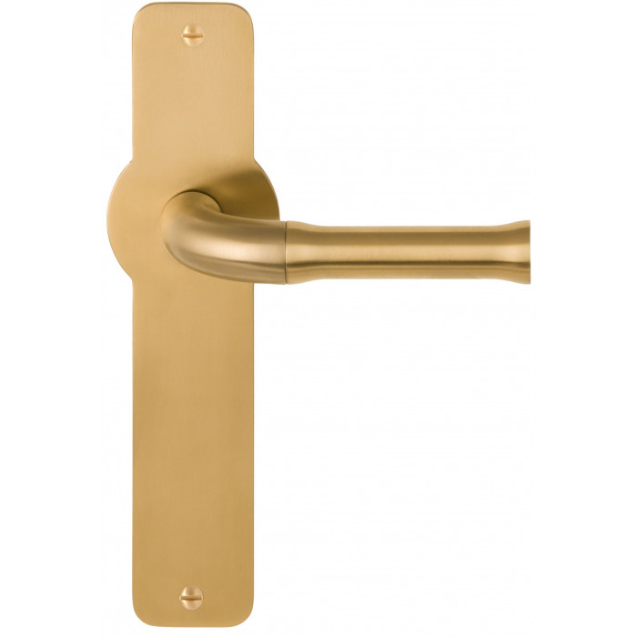 Deurkruk paar Edward van Vliet NOUR EV100P210SFC massief ongeveerd op schild blind PVD mat goud RVS-304 main product photo
