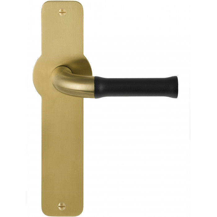 Deurkruk paar Edward van Vliet NOUR EV100P210SFC massief ongeveerd op schild blind PVD mat goud/mat zwart RVS-304 main product photo