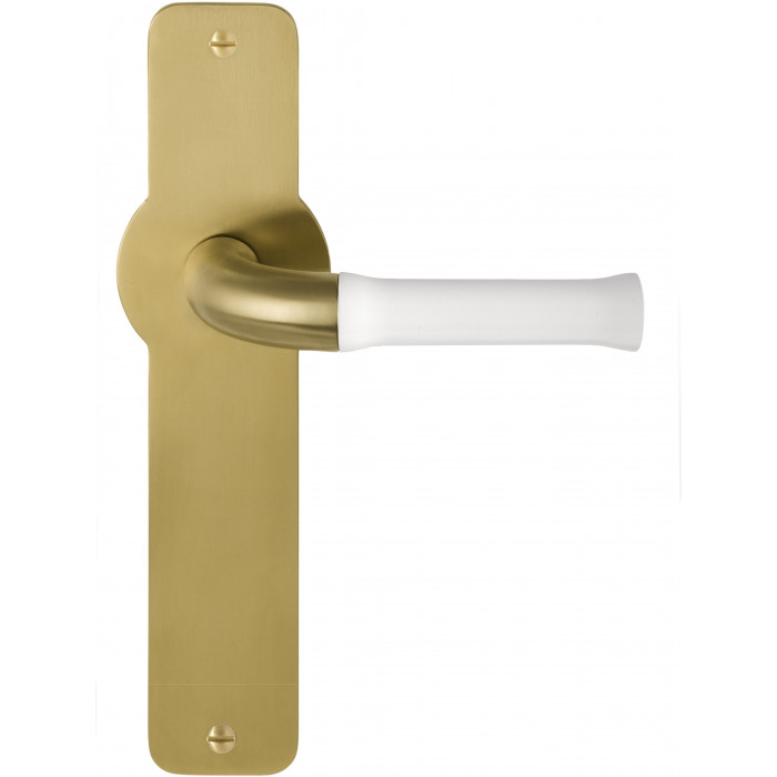 Deurkruk paar Edward van Vliet NOUR EV100P210SFC massief ongeveerd op schild blind PVD mat goud/wit RVS-304 main product photo