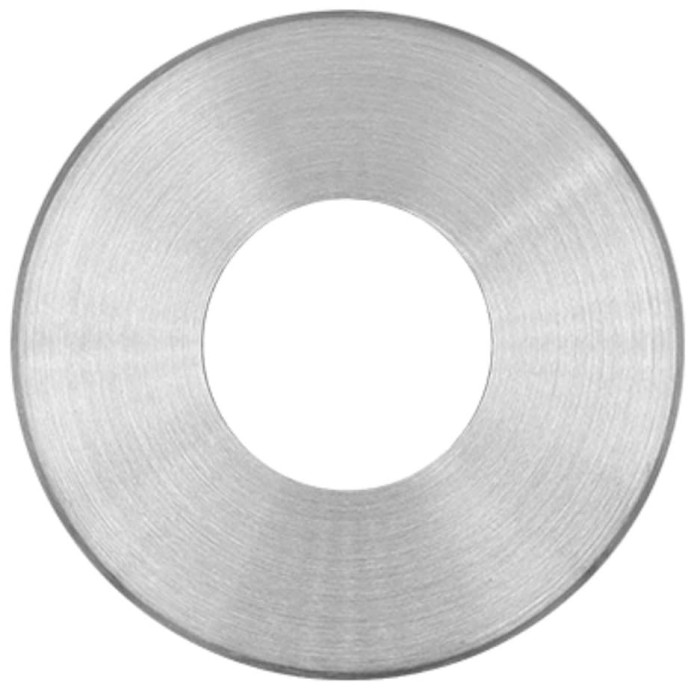 Schijf Ø 100 x 8 mm gat Ø 42,4 mm RVS-304 mat geslepen main product photo