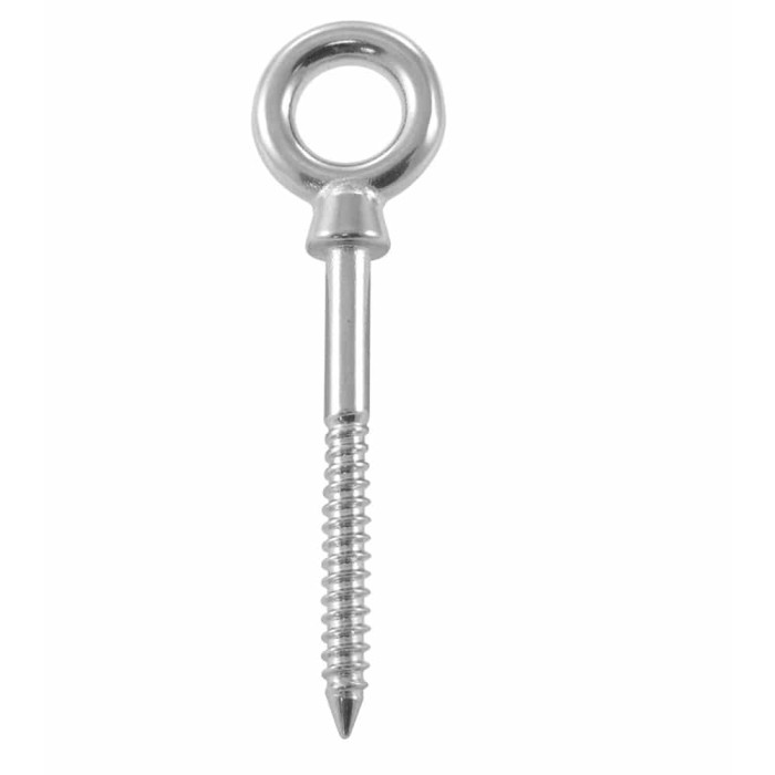 Oogschroef 12 x 100 mm RVS-316 main product photo