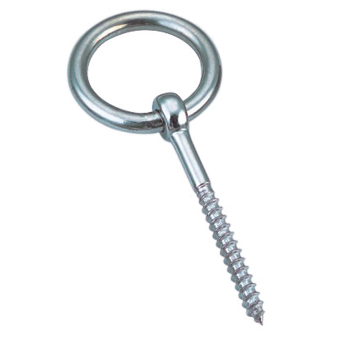 Oogschroef met ring, 8x80mm RVS-316 (A4) main product photo