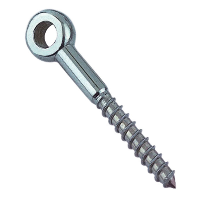 Oogschroef 6 x 50 mm RVS-316 main product photo