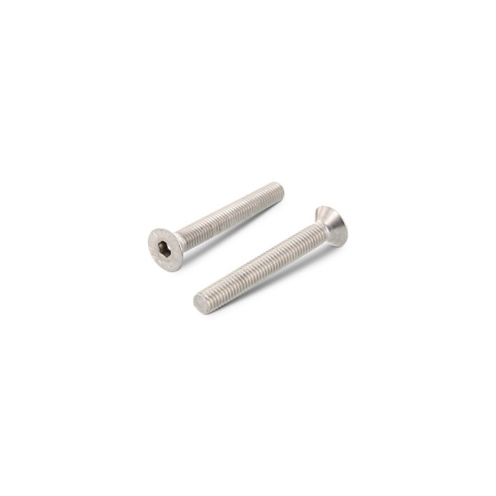 Verzonken schroef M8 x 55 mm ISO 10642 RVS A2 SW5 (100 stuks) main product photo