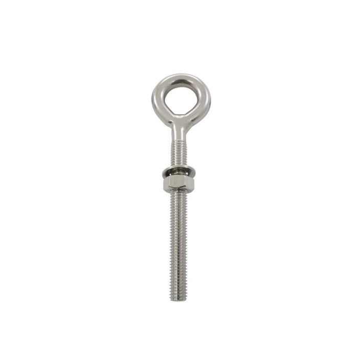 Oogbout met metrische draad M10 x 100 mm RVS-316 main product photo