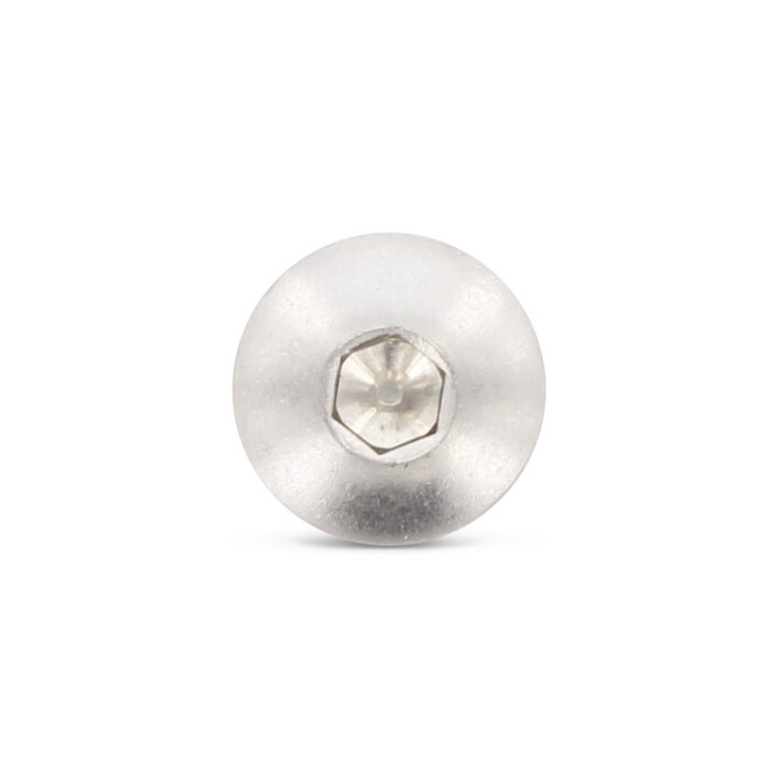 Laagbolkopschroef M8 x 60 mm Art. 9020 RVS A2-70 SW5,5 (100 stuks) main product photo