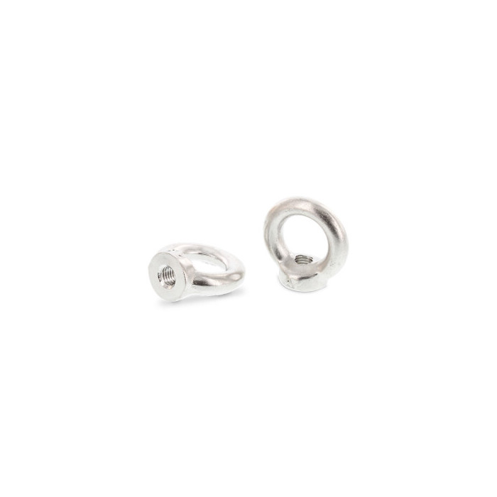 Oogmoer gesmeed M12 DIN 582 RVS A4-50 (10 stuks) main product photo