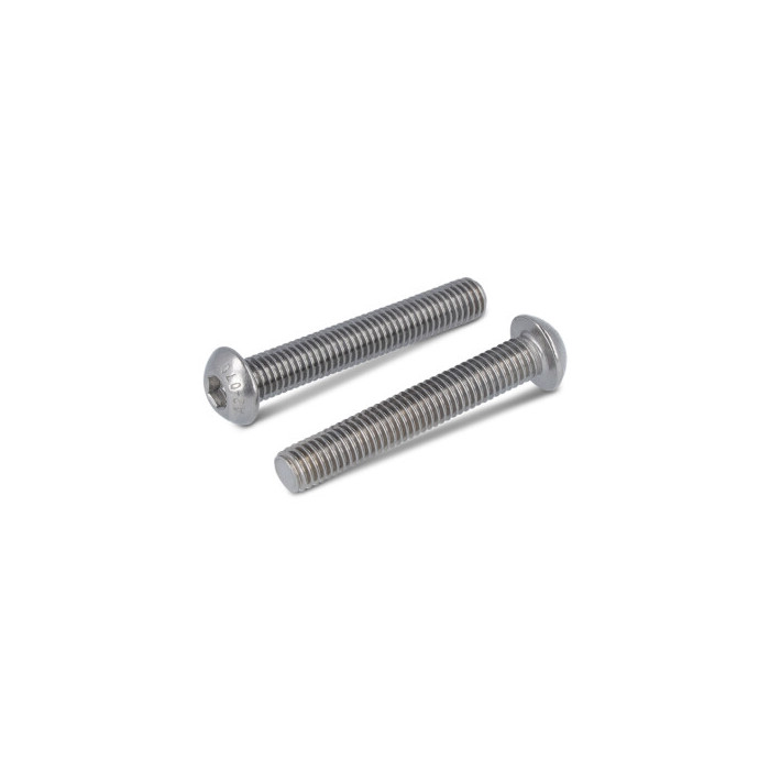 Platkopschroef M10 x 40/40 mm ISO 7380 RVS A2 SW6 (100 stuks) main product photo