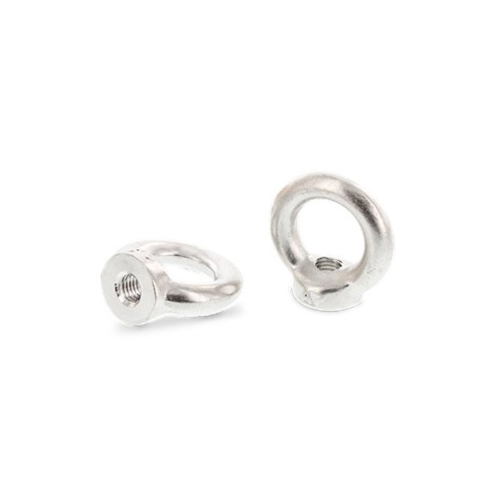 Oogmoer M16 DIN 582 (gesmeed) RVS A4 main product photo