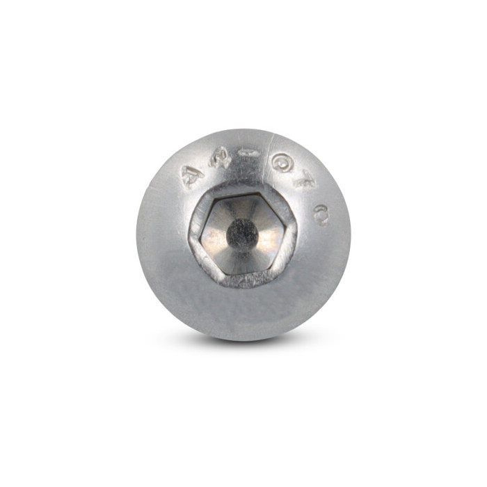 Platkopschroef M6 x 55/55 mm ISO 7380 RVS A4 SW4 (100 stuks) main product photo