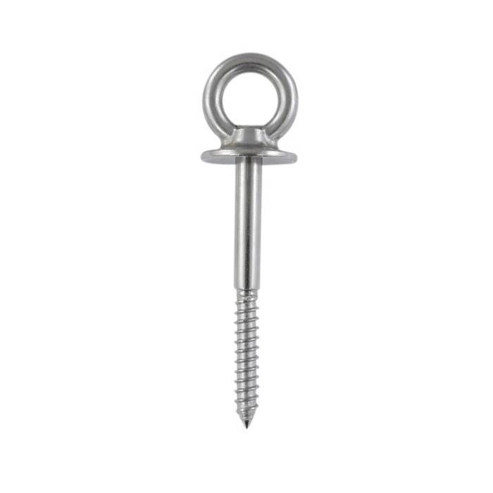 Oogbout met kraag en houtdraad, 12 x 100 mm RVS-316 (A4) main product photo