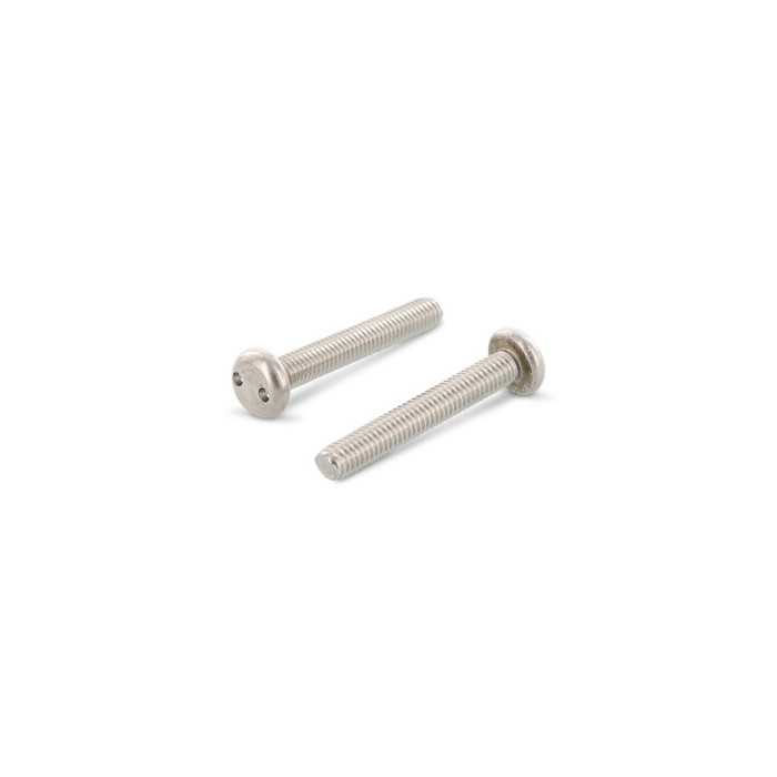 Veiligheidsschroef cilinderkop 2-hole M4 x 25 mm Art. 9101 RVS A2-50 SP8 (100 stuks) main product photo