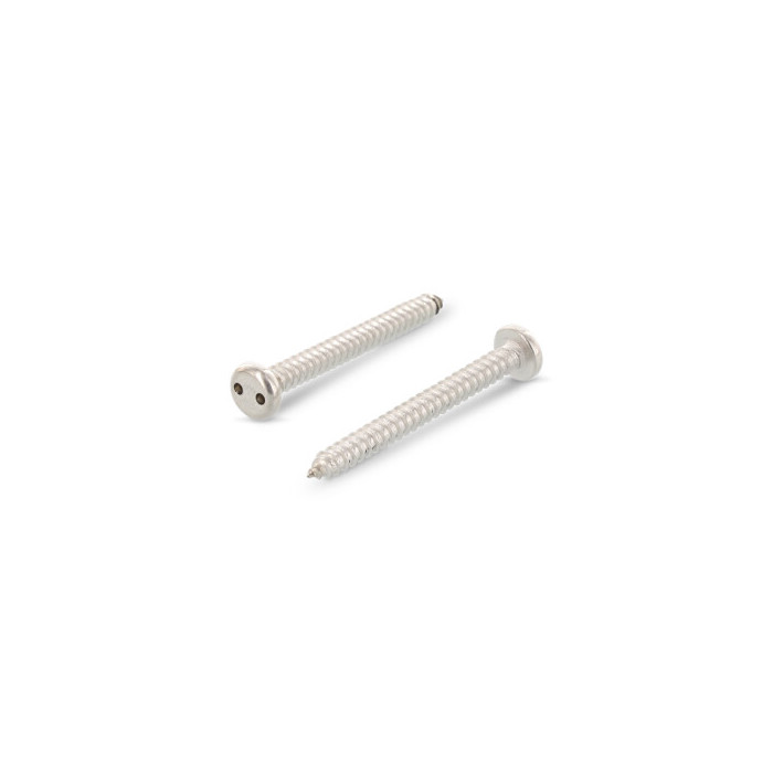 Veiligheidsschroef cilinderkop 2-hole C 4,2 x 9,5 mm Art. 9100 RVS A2-50 SP8 (100 stuks) main product photo