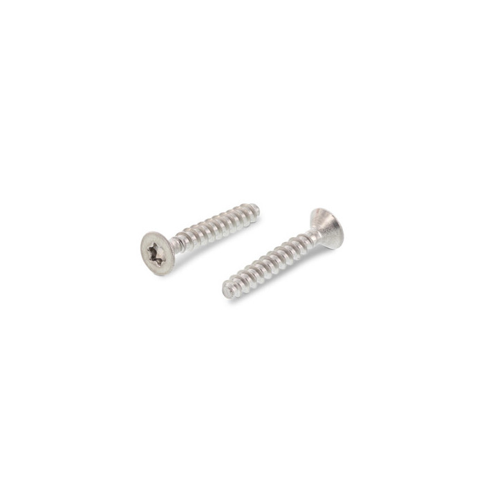 Verzonken schroef voor kunststof 3,0 x 12 mm Art. 9090 RVS A2-50 TX10 (500 stuks) main product photo