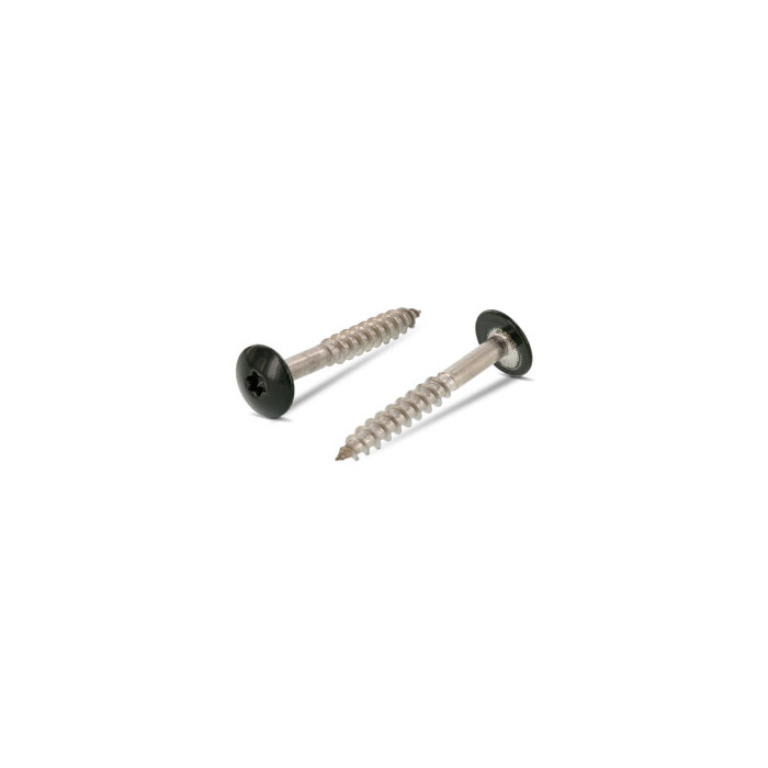 Trespo houtschroef plat-ronde kop 5,5 x 32 mm RAL 6009 Art. 9086 RVS A2-50 TX20 (100 stuks) main product photo