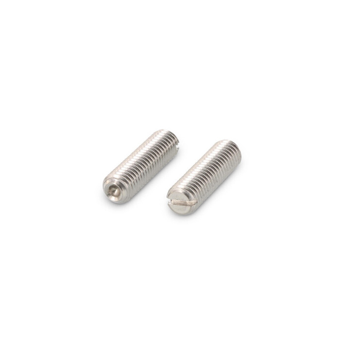 Stelschroef met sleuf en kratereind M8 x 16 mm DIN 438 RVS A4 (100 stuks) main product photo