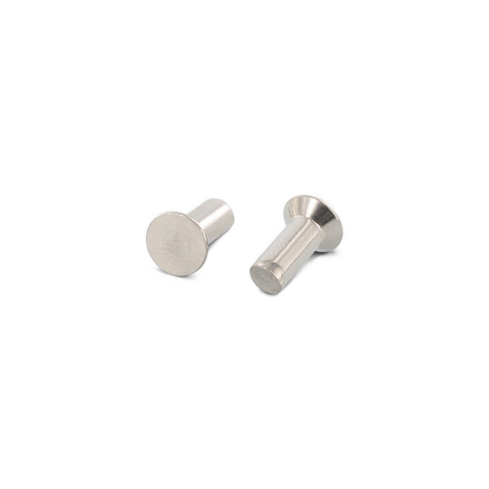 Klinknagel verzonken 2 x 10 mm DIN 661 RVS A4 (500 stuks) main product photo