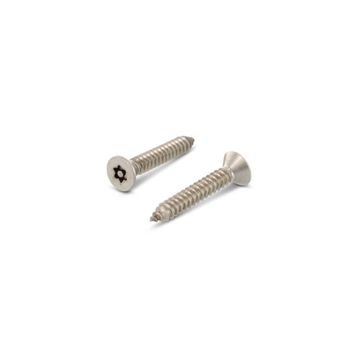 Veiligheidsschroef verzonken ISR met pin C 4,8 x 50 mm Art. 9122 RVS A2-50 TX25 PIN (100 stuks) main product photo