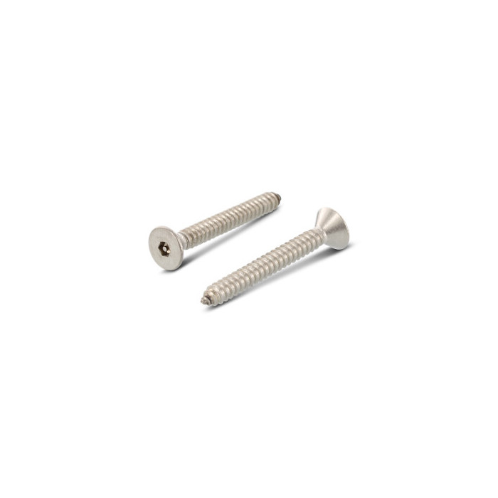 Veiligheidsschroef verzonken met pin C 4,2 x 38 mm Art. 9112 RVS A2-50 SW2,5 PIN (100 stuks) main product photo