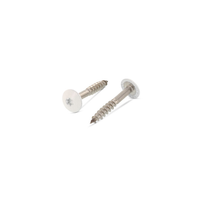 Trespo houtschroef plat-ronde kop 5,5 x 32 mm RAL 9010 Art. 9086 RVS A2-50 TX20 (100 stuks) main product photo