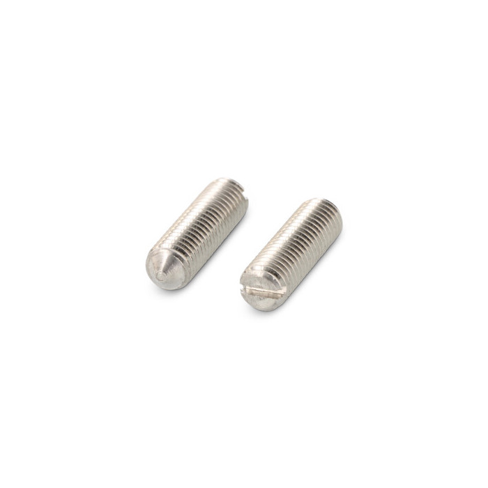 Stelschroef met sleuf en punt M10 x 12 mm DIN 553 RVS A2 (50 stuks) main product photo