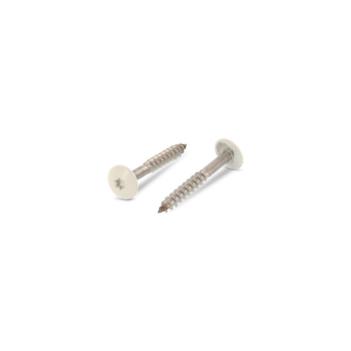 Trespo houtschroef plat-ronde kop 4,8 x 60 mm RAL 1013 Art. 9086 RVS A2-50 TX20 (100 stuks) main product photo