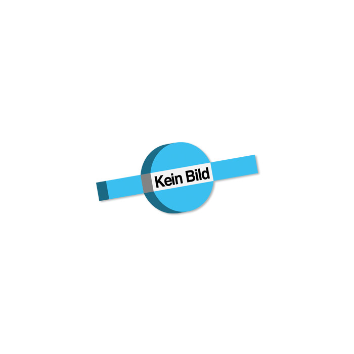 Knevelschroef B M20 x 100 mm DIN 444 RVS A2-50 (10 stuks) main product photo