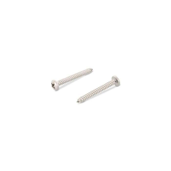 Plaatschroef met lenskop C 4,8 x 22 mm DIN 7981 RVS A2 PH2 (1000 stuks) main product photo