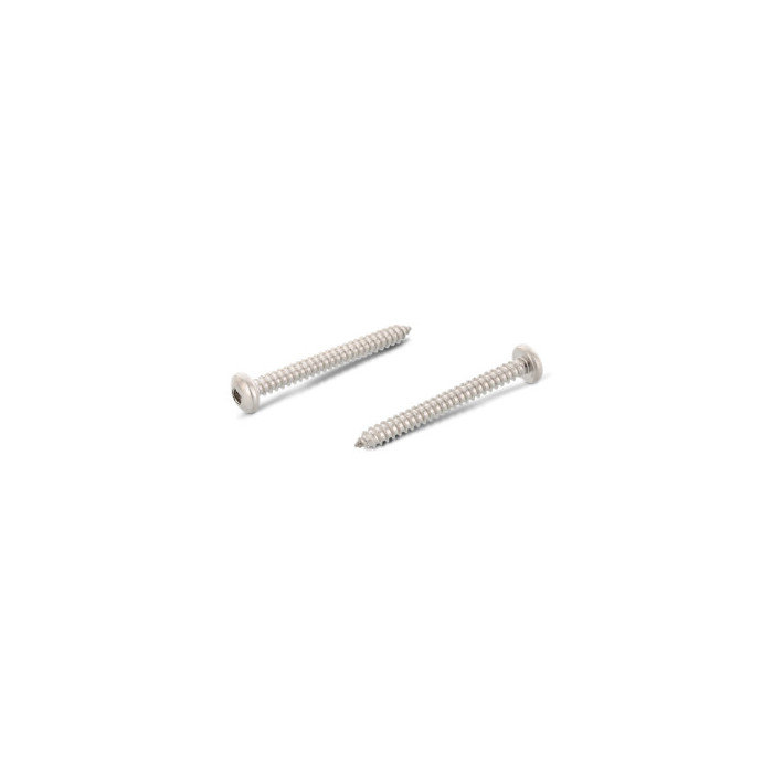 Plaatschroef met lenskop C 3,9 x 9,5 mm DIN 7981 RVS A2 V1 (200 stuks) main product photo