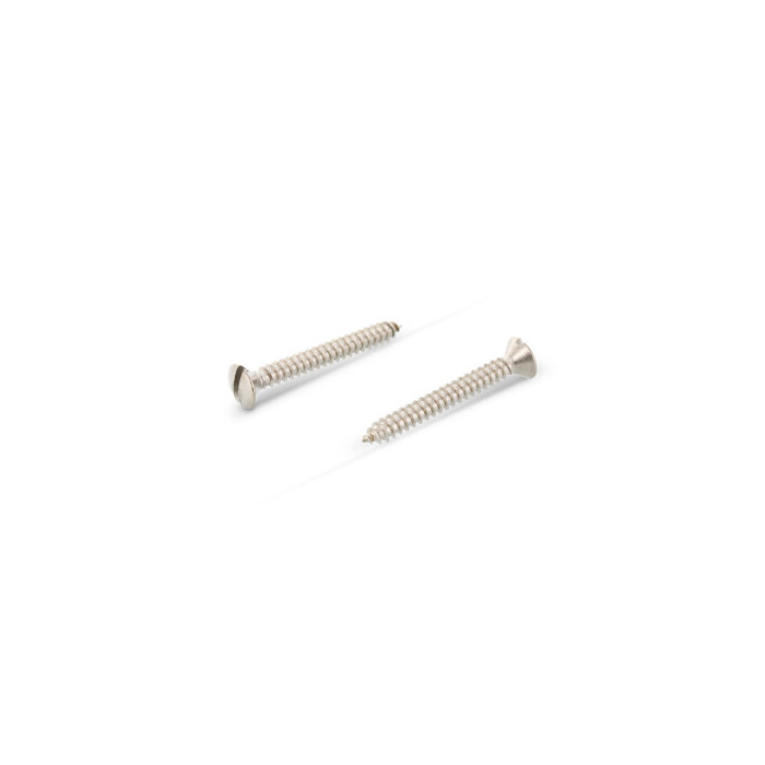 Verzonken plaatschroef met lenskop C 6,3 x 22 mm DIN 7973 RVS A2 (500 stuks) main product photo