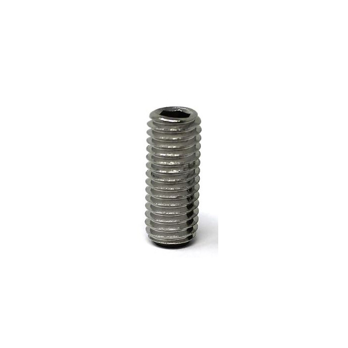 Stelschroef met binnenzeskant M6 x 40 mm RVS-304 mat geslepen main product photo