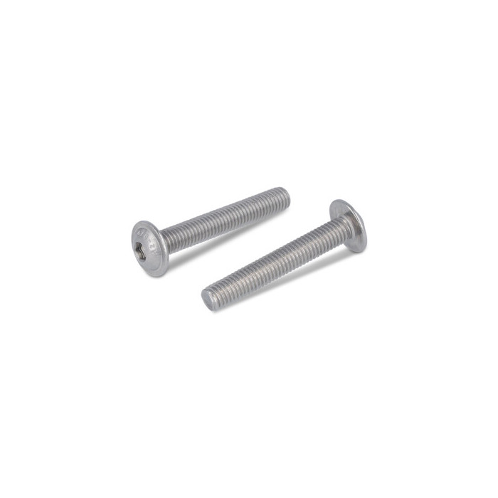 Platkopschroef M6 x 75/75 mm ISO 7380 RVS A2 SW4 (100 stuks) main product photo