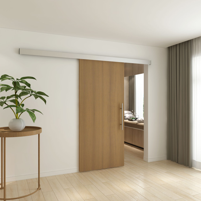 Schuifdeur voor glazen en houten deur, incl. Softclose en vloergeleiding. Lena voor houten deur aluminium mat geanodiseerd main product photo