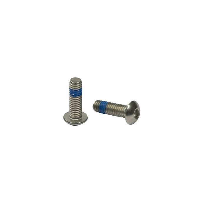 Laagbolkopschroef met binnenzeskant, M6 x 16 mm, A4-70, QS-84 RVS-316 main product photo