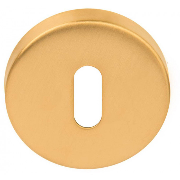 Sleutelplaatje BASICS LBN50D 10 mm PVD mat goud RVS-304 main product photo