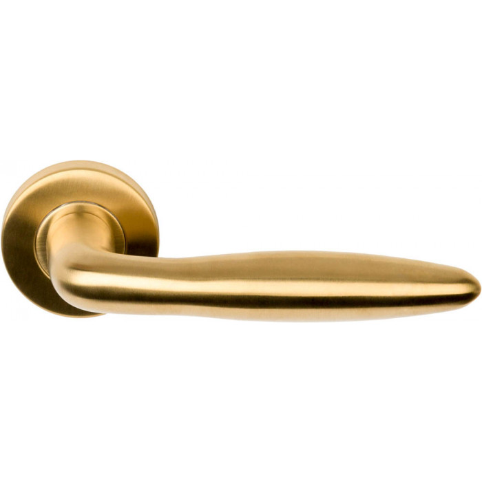 Deurkruk paar BASICS LB18 geveerd op rozet PVD mat goud RVS-304 main product photo