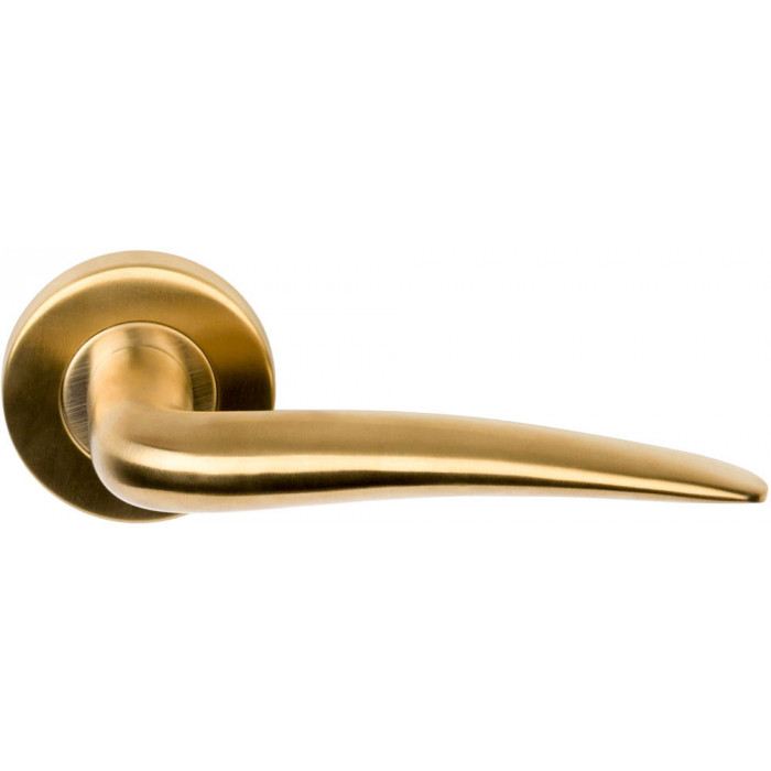 Deurkruk paar BASICS LB20 geveerd op rozet PVD mat goud RVS-304 main product photo