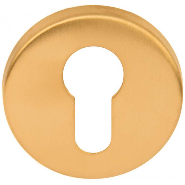 Cilinderplaatje BASICS LBY50 6 mm PVD mat goud RVS-304 main product photo