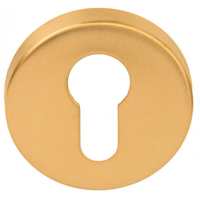 Cilinderplaatje BASICS LBY50D 10 mm PVD mat goud RVS-304 main product photo