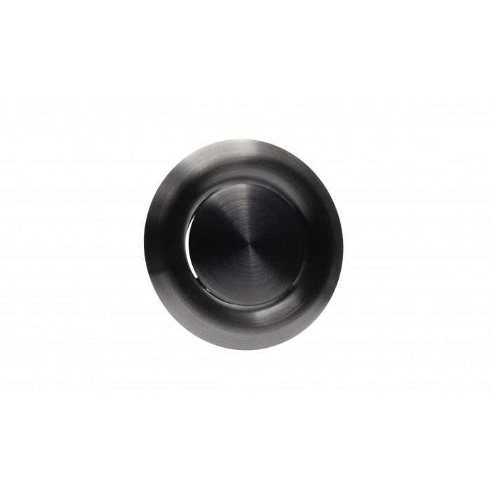 Afzuigventiel Ø100 mm titanium RVS-304 main product photo