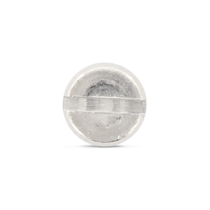 Cilinderschroef met sleuf M4 x 28 mm DIN 84 RVS A2-50 (500 stuks) main product photo