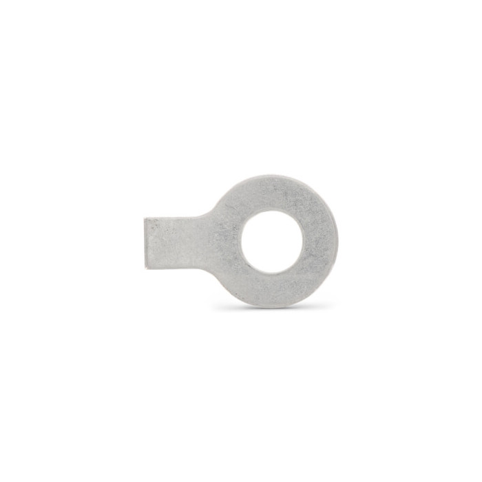 Ligborgplaat met één lip 19,0 mm DIN 93 RVS A4 (200 stuks) main product photo