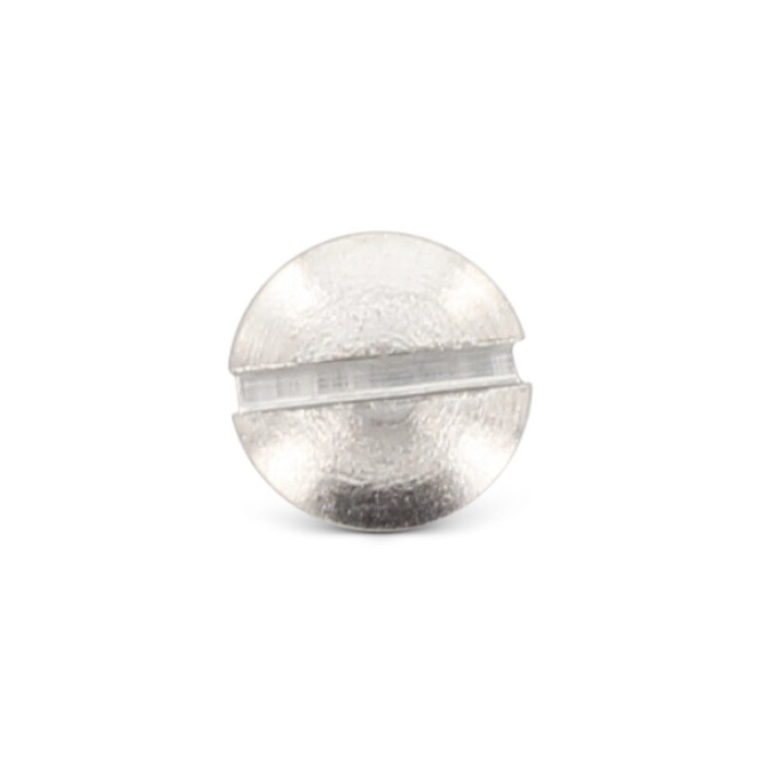 Houtschroef verzonken met lenskop 5,5 x 60 mm DIN 95 RVS A4-50 (200 stuks) main product photo