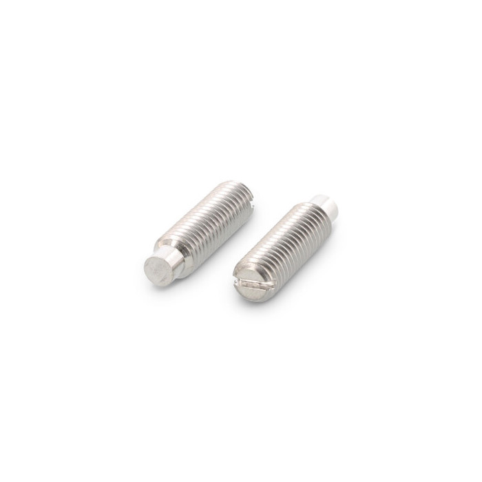 Stelschroef met sleuf en nok M10 x 20 mm DIN 417 RVS A2 (100 stuks) main product photo