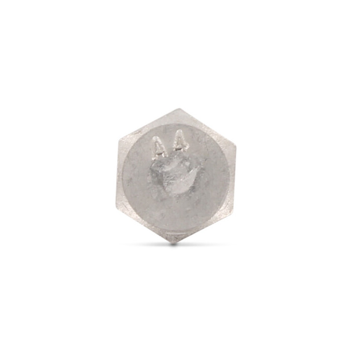Zeskant houtdraadbout 10 x 45 mm DIN 571 RVS A4-50 SW17 (100 stuks) main product photo