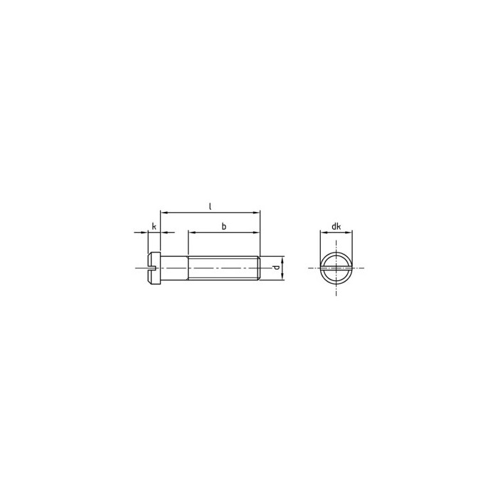 Metaalschroef kleine kop M3 x 5 mm DIN 920 RVS A2-50 (500 stuks) main product photo