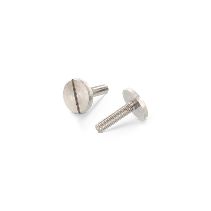 Metaalschroef grote kop M2 x 4 mm DIN 921 RVS A1 (100 stuks) main product photo