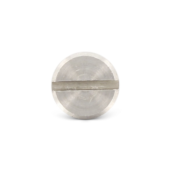 Metaalschroef met borst M4 x 2 mm DIN 923 RVS A1 (100 stuks) main product photo