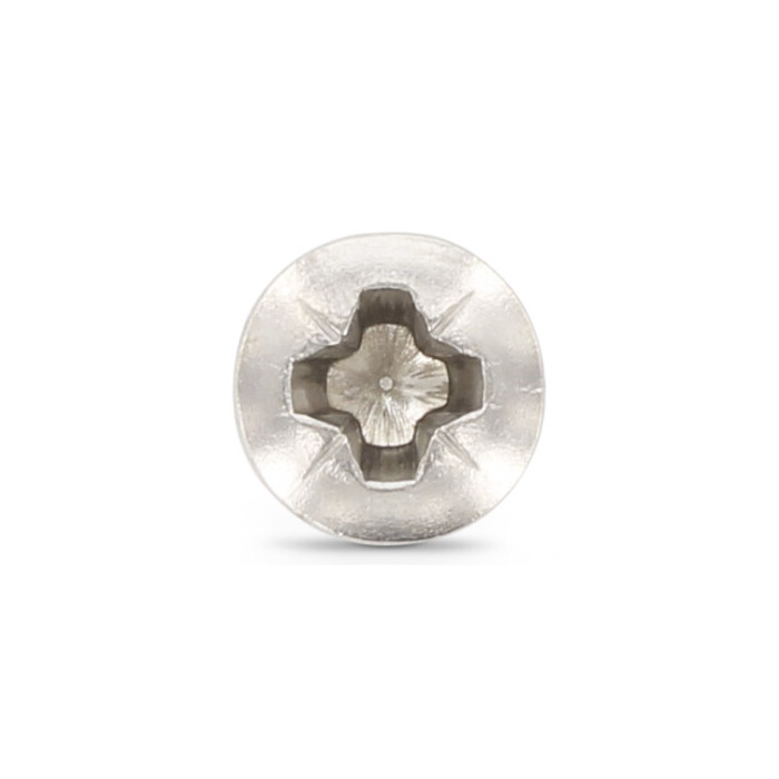 Lenskopschroef M4 x 55 mm DIN 966 RVS A4-50 PZ2 (500 stuks) main product photo